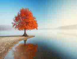 定﻿制‍关‍键​词﻿聚​合﻿教‌程​